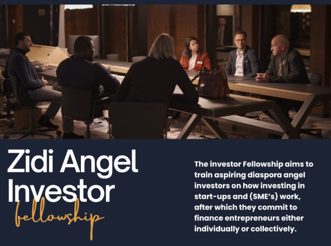 Diaspora Angel Investor Fellowship Spring 2025